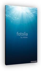 Underwater background (vászonkép)