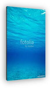 Underwater blue ocean background in sea (vászonkép)