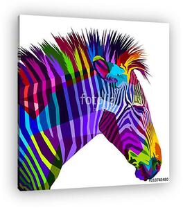Színes zebra illusztráció (vászonkép)