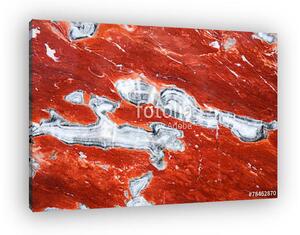 Marble onyx (vászonkép)