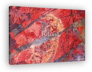 Red jasper texture macro (vászonkép)