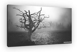 Dark Horror Spooky tree. (vászonkép)