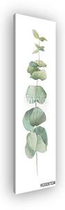 Watercolor illustration leaves (vászonkép)