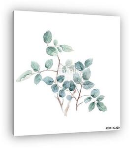 Watercolor leaf illustration (vászonkép)