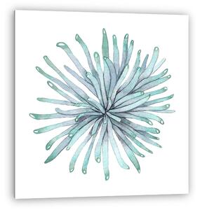 Succulent isolated on a white background. Watercolor hand drawn illustration. (vászonkép)