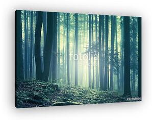 Magical blue green saturated foggy forest trees landscape. Color filter effect used. Picture was taken in south east Slovenia, E (vászonkép)