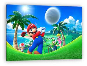 Mario Golf 2 - Big Shot (vászonkép)