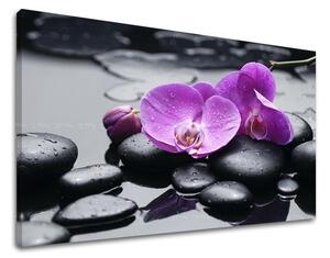 Fali művészet FENG SHUI FS011E11