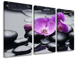 3-részes falfestmény FENG SHUI FS011E30
