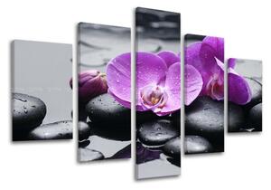 5-részes falfestmény FENG SHUI FS011E50