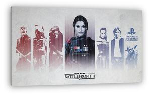 Star Wars: Battlefront II. - Ps4 Theme videójáték téma (vászonkép)