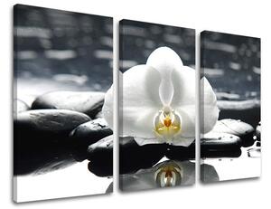 3-részes falfestmény FENG SHUI FS018E30