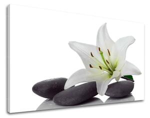 Fali művészet FENG SHUI FS029E11