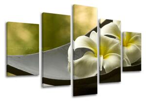 5-részes falfestmény FENG SHUI FS031E50