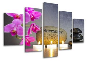 5-részes falfestmény FENG SHUI FS023E50