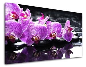 Fali művészet FENG SHUI FS024E11