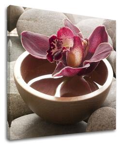 Fali művészet FENG SHUI FS039E12