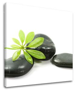 Fali művészet FENG SHUI FS041E12