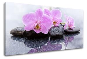 Vászonkép FENG SHUI_062 - 11