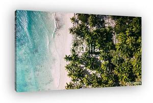 Left ocean and right palms. Middle beach (vászonkép)