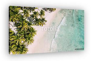 Beach with beautiful coastline. Palm trees (vászonkép)