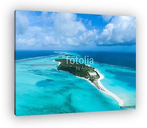 Amazing bird eyes view in Maldives (vászonkép)