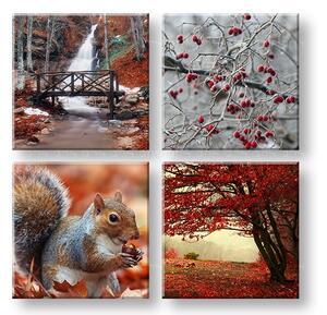 Falikép Beauty of Autumn 4 részes XOBKOL11E42