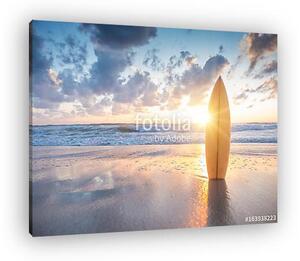 Surfboard on the beach at sunset (vászonkép)
