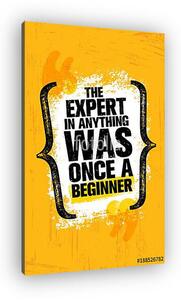 The Expert In Anything Was Once A Beginner. Inspiring Creative Motivation Quote Poster Template. Vector Typography (vászonkép)