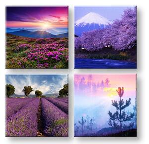 Vászonkép Everywhere purple 4 részes XOBKOL21E42