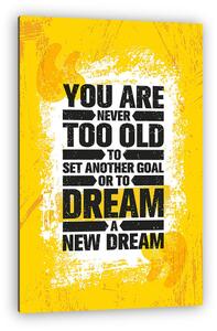 You Are Never Too Old To Set Another Goal Or To Dream A New Dream. Inspiring Creative Motivation Quote Poster Template (vászonkép)