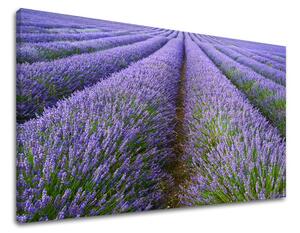 Fali festmény LANDSCAPE KR039E11