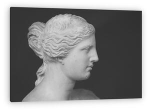 Miloi Venusz (vászonkép)