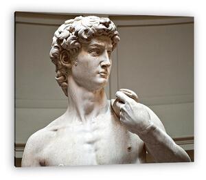 Michelangelo David szobor (vászonkép)