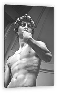 Michelangelo David szobor (vászonkép)