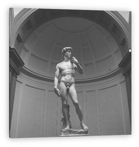 Michelangelo David szobor (vászonkép)