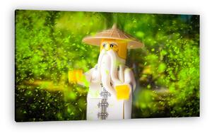 LEGO Characters - Ninja guru (vászonkép)