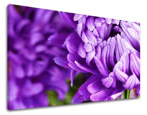 Falfestmény FLOWERS KV022E11