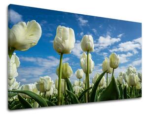 Falfestmény FLOWERS TULIPANS KV040E11