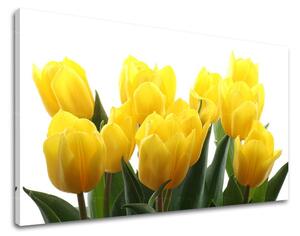 Falfestmény FLOWERS TULIPANS XOBKV141E11