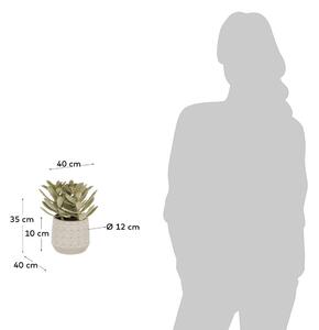 Suculent műnövény (magasság 23 cm) Kalanchoe Tomentosa – Kave Home