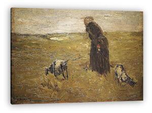 Max Liebermann: Öregasszony és kecskéi (tanulmány) (vászonkép)