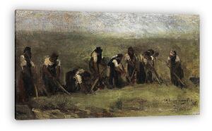 Max Liebermann: Cukorrépa kapálók (1873) (vászonkép)