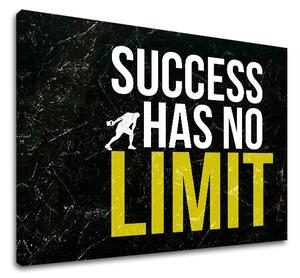 Motivációs vászonképek o úspechu_009