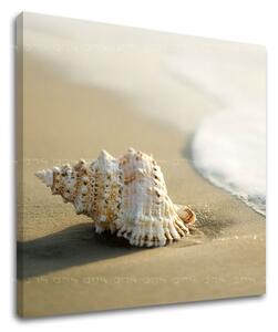 Falfestmény BEACH PL006E12