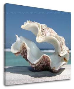 Falfestmény BEACH PL005E12