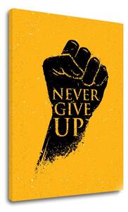Motivációs vászonképek Never give up