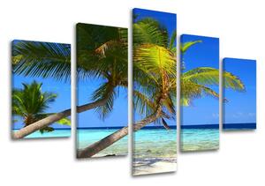 Falikép 5 részes STRAND PL011E50
