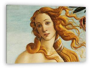 Sandro Botticelli: Vénusz (Részlet az Vénusz születése c. eredeti műből) (vászonkép)