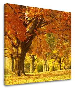 Falfestmény TREES ST027E12